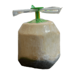 Coco de agua-