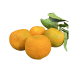 comprar naranja agria, naranja agria fruta