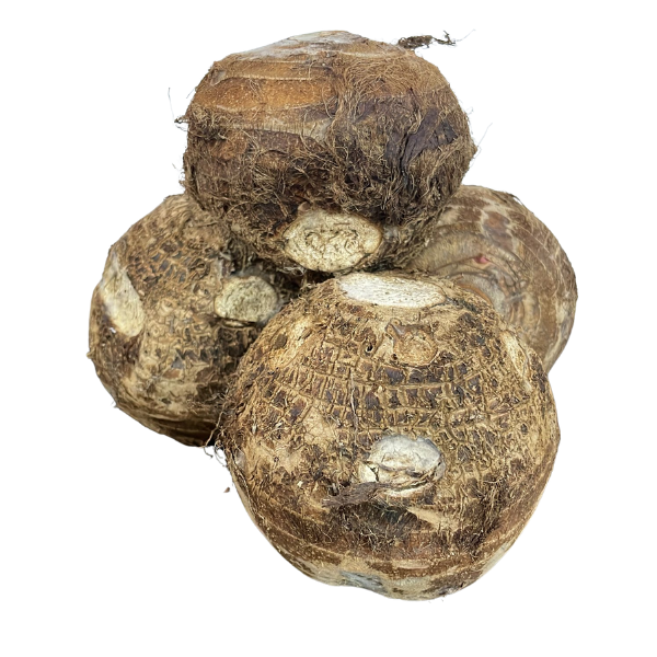 Comprar Yautía coco blanca, yautía coco