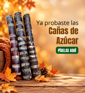 Comprar caña de azúcar dominicana
