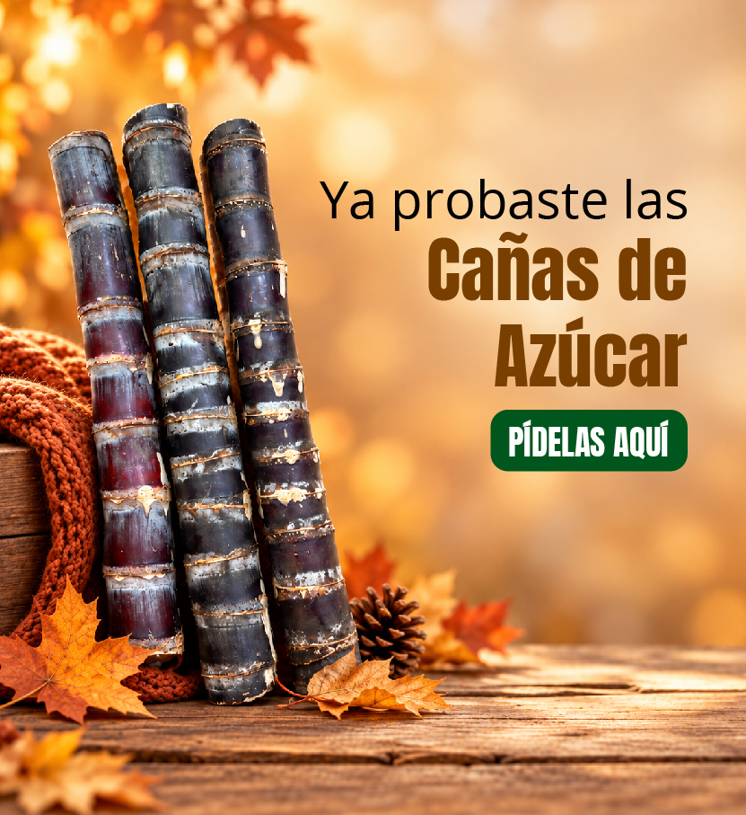 Comprar caña de azúcar dominicana